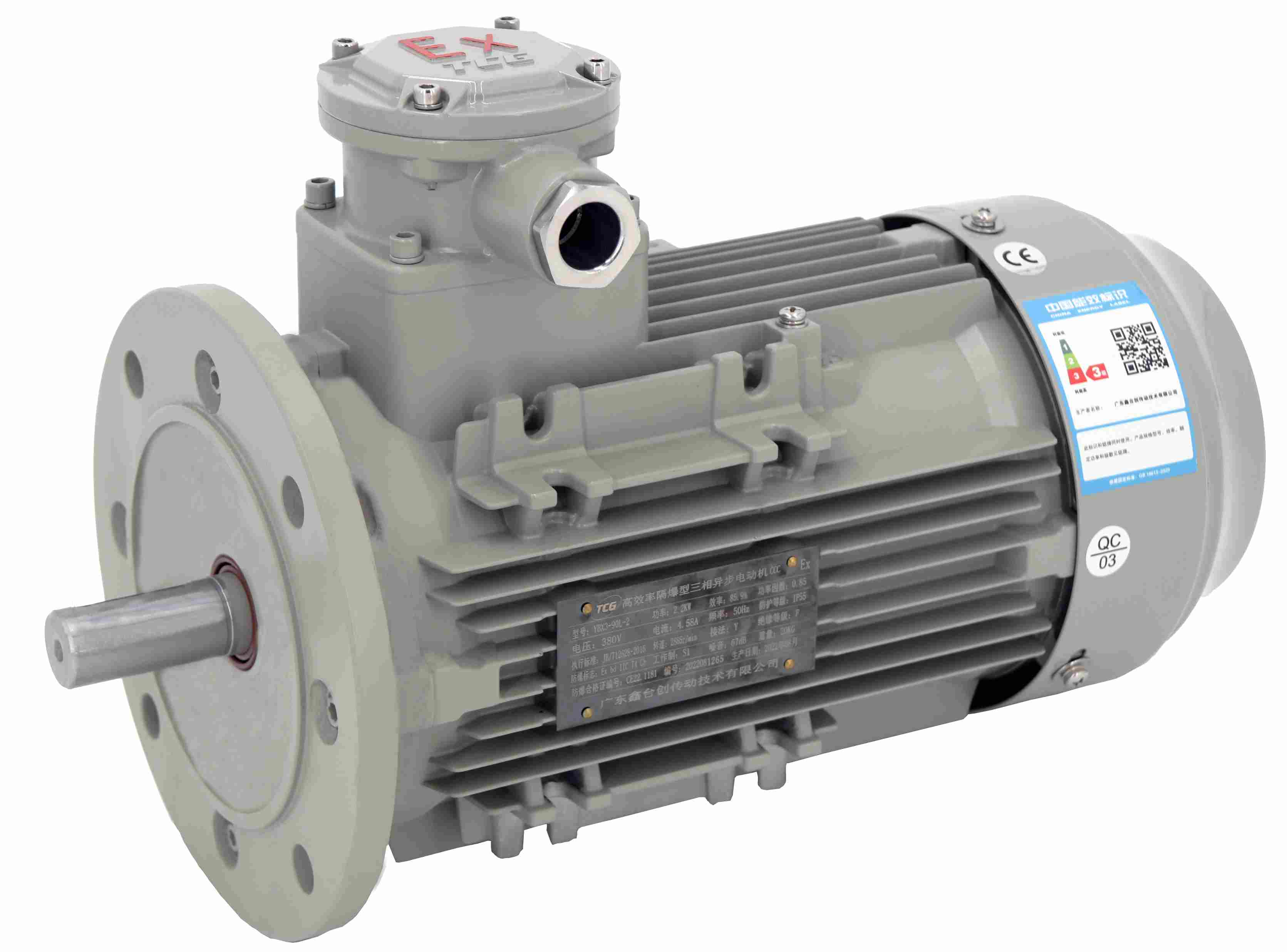 CT4防爆電機(jī)B5