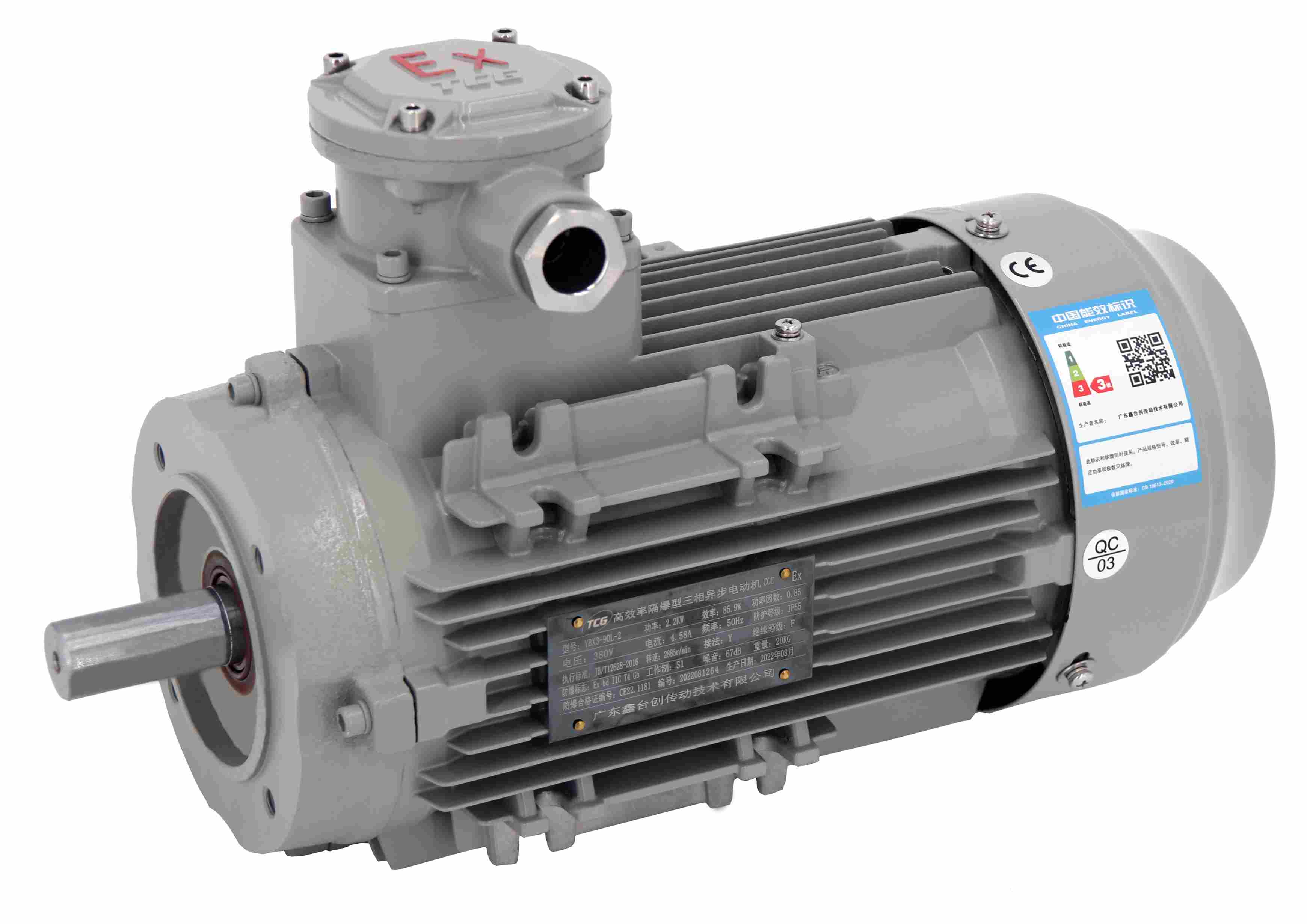 CT4防爆電機(jī)14