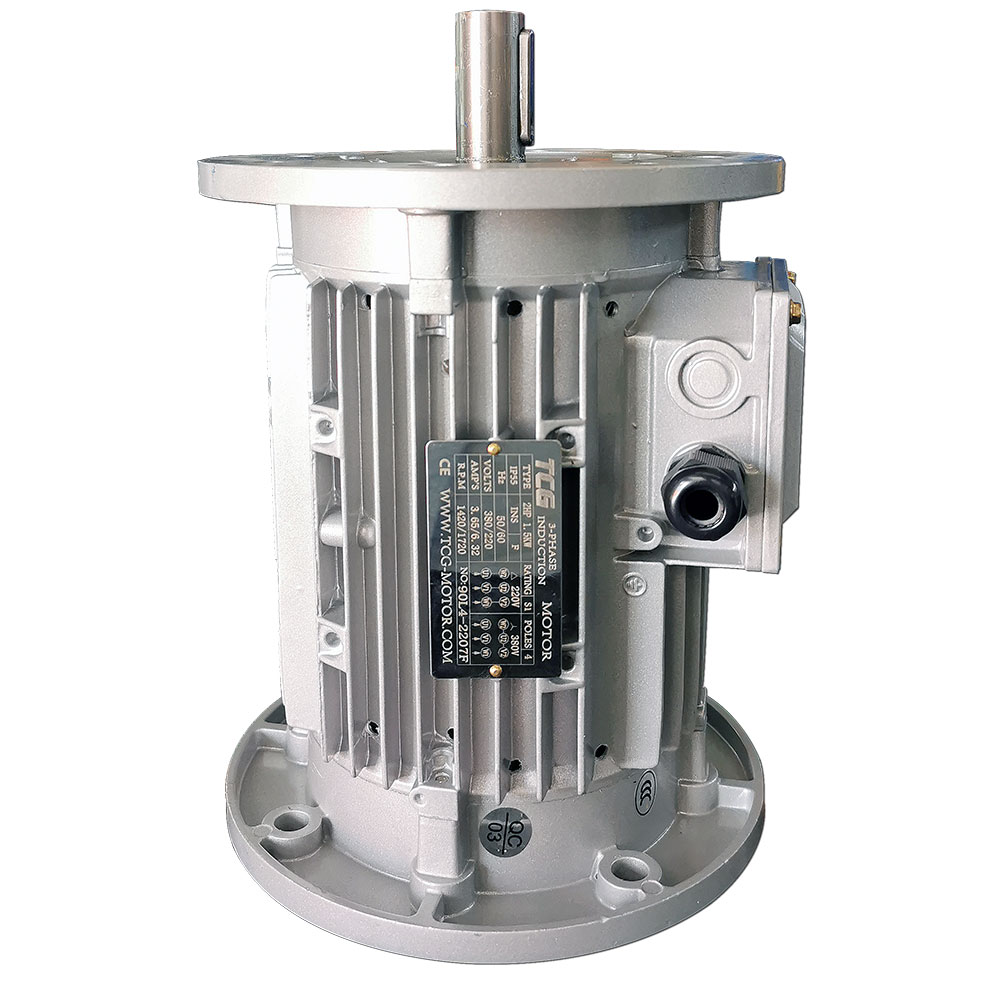 雙法蘭非標(biāo)電機(jī)