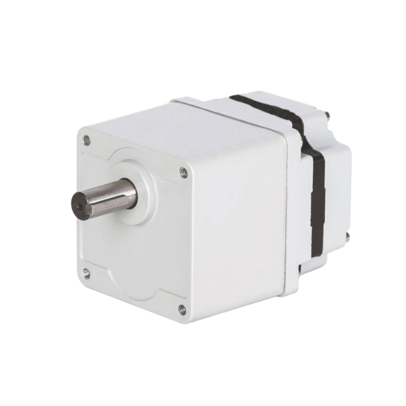 30W配60GN平行軸減速機(jī)